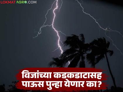 latest news Maharashtra Weather Update: Cyclone 'Shakti' has calmed down; Rains continue to linger in 'this' area Read in detail | Maharashtra Weather Update : चक्रीवादळ 'शक्ती' झाले शांत; 'या' भागात पावसाचं सावट कायम वाचा सविस्तर latest news Maharashtra Weather Update: Cyclone 'Shakti' has calmed down; Rains continue to linger in 'this' area Read in detail | Maharashtra Weather Update : चक्रीवादळ 'शक्ती' झाले शांत; 'या' भागात पावसाचं सावट कायम वाचा सविस्तर