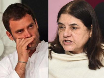 maneka gandhi rahul gandhi priyanka gandhi lok sabha election 2019 | लोकसभा निवडणूक निकाल 2019 : राजकारण हा पोरखेळ नाही, मनेका गांधींचा राहुल यांना टोला