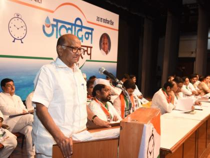 'NCP will maintain its independent existence' Says Sharad Pawar | 'राष्ट्रवादी काँग्रेस पक्षाचं स्वतंत्र अस्तित्व कायम राखणार'