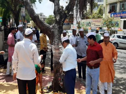 men did a seven round to baniyaan tree on vatpornima occassion | जन्मोजन्मी हीच पत्नी मिळावी यासाठी पुरुषांनी मारले वडाला सात फेरे