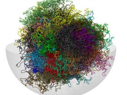 research in pune university which helpful to cure aids and cancer | एड्स, कर्कराेगांवरील उपचारांसाठी उपयुक्त ठरणारे पुणे विद्यापीठात संशाेधन