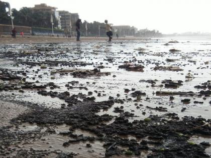 Oil tar ball was transported on Juhu Beach | जुहू बीचवर भरतीत वाहून आले ऑइल टार बॉल