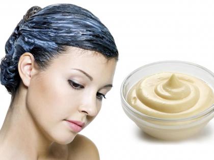 know the benefits of mayonnaise for hairs | फक्त खाण्यासाठी नाही तर केसांसाठीसुद्धा फायदेशीर मायोनीज, जाणून घ्या वापर कसा कराल