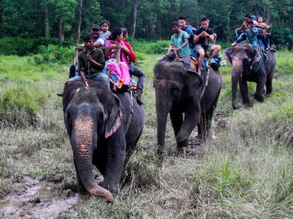 Special places to enjoy wildlife travelling with the animals | वाईल्ड लाईफचा आनंद घेण्यासाठी 'ही' ठिकाणं आहेत खास, एकदा जाऊन तर बघा...