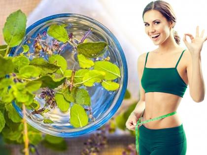 Benefits of basil water to the teeth including weight loss | वजन कमी करण्यासह दातांच्या समस्येवर फायदेशीर तुळशीचं पाणी, इतर फायदे वाचून व्हाल अवाक्