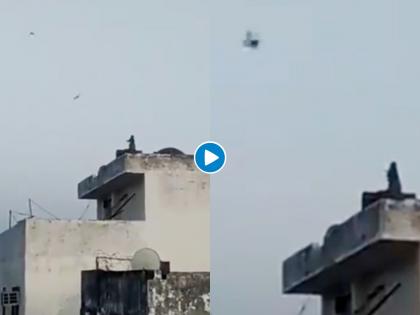 Lockdown : monkey flying a kite video goes viral in lockdown myb | आधीच लॉकडाऊनमध्ये माणसं कंटाळलीयेत, अन् माकडांना पतंग उडवायचं सुचतंय...