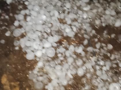 Rain with hail in the Wani subdivision | वणी उपविभागात गारपिटीसह पाऊस