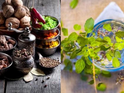 CoronaVirus News Marathi : Ayurveda for covid 19 by boosting immunity fifatrol for coronavirus myb | कोरोनाला रोखून रोगप्रतिकारकशक्ती वाढवणाऱ्या 'या' आयुर्वेदिक औषधाची सर्वत्र होत आहे चर्चा 