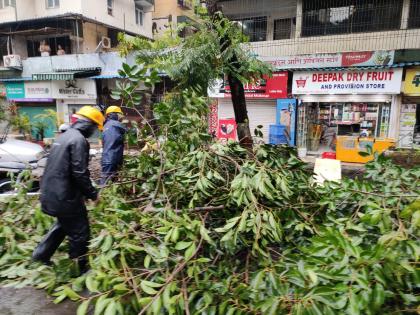 Thane district receives an average rainfall of 66.8 mm | ठाणे जिल्ह्यात सरासरी 66.8 मिमी पाऊस; कसारा घाटात दरड कोसळल्याने वाहतूक मंदावली 