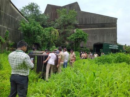 ... And the leopard got stuck in a cage in Andheri MID | ...अन् अंधेरी एमआयडीसीत बिबट्या अडकला पिंजऱ्यात