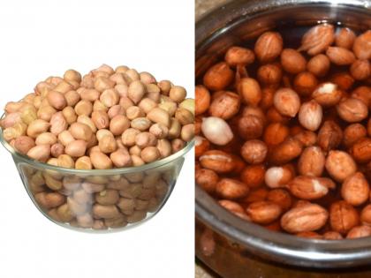 Health Tips : health benefits eating soaked peanuts water | रोज भिजवलेले शेंगदाणे खाल्यानं टळेल 'या' आजारांचा धोका; जाणून घ्या आरोग्यदायी फायदे