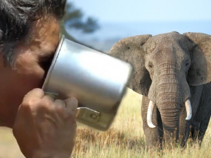Akshay Kumar Shared Promo Of Into The Wild With Bear Grylls Where Akshay Kumar Drinks Elephant Poop Tea | 'या' व्यक्तीने पाजला अक्षय कुमारला हत्तीच्या विष्ठेपासून बनवलेला चहा, व्हिडीओ व्हायरल