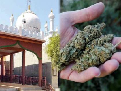 karnataka marijuana serves as a prasad in temples | काय सांगता? भारतातल्या 'या' मंदिरामध्ये चक्क प्रसाद म्हणून भक्तांना दिला जातो गांजा  