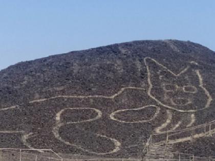 121 foot cat found in peruvian desert 300 sketches found | काय सांगता? वाळवंटी प्रदेशात आढळली तब्बल 2000 वर्षे जुनी 121 फुटांची "मांजर"