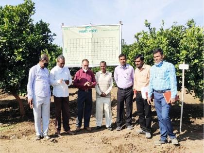 Admirable! Three citrus nurseries in Paithan taluka will get national recognition | कौतुकास्पद ! पैठण तालुक्यातील तीन मोसंबी रोपवाटीकांना मिळणार राष्ट्रीयस्तरावर मान्यता