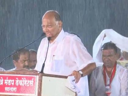 Sharad Pawar: Sahyadri in the rain! | Sharad Pawar : पावसातला सह्याद्री !