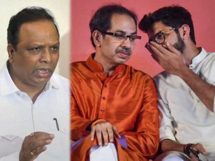 BJP Ashish Shelar Slams Thackeray Government Over Metro Carshed to BKC | "मुंबईकरांच्या प्रत्येक विकास प्रकल्पापेक्षा अहंकारी राजा आणि विलासी राजपुत्राचा अहंकारच मोठा"