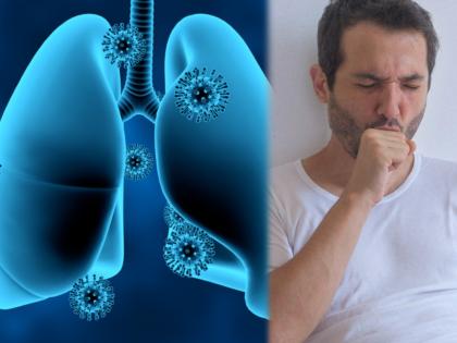 Health Tips for lungs : How to keep lungs healthy by avoiding this food | वाढत्या कोरोनाच्या प्रसारात फुफ्फुसांना चांगलं ठेवायचंय? तर आजपासूनच 'या' टिप्स वापरून तब्येत सांभाळा