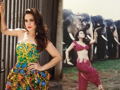 Preity Zinta shared a throwback photo | प्रिती झिंटाने शेअर केला थ्रोबॅक फोटो, म्हणाली- आखिर हाथी क्या सोच रहे होंगे?