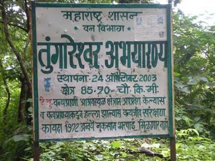 Habitat of animals in Tungareshwar Sanctuary endangered | तुंगारेश्वर अभयारण्यातील प्राण्यांचा अधिवास धोक्यात