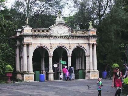 A white lion, a jaguar, will come to the garden of the queen of Byculla | भायखळ्याच्या राणीच्या बागेत येणार पांढरा सिंह, जॅग्वार