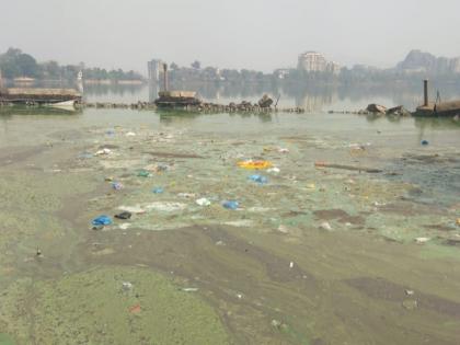 Municipal administration neglects Varhal lake in Bhiwand | भिवंडीतील वऱ्हाळ तलावाकडे महापालिका प्रशासनाचे दुर्लक्ष ; तलावावर पसरला हिरवा तवंग , कुजक्या दुर्गंधीने नागरीक हैराण