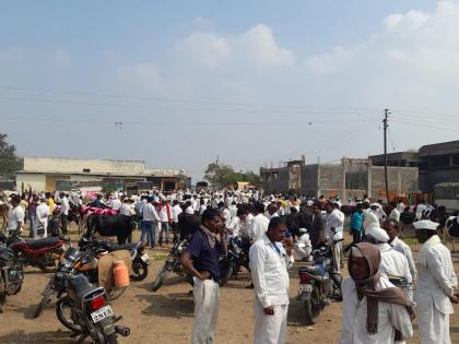 coronavirus: crowd at the cattle market at Kada; No masks, no social distinctions | coronavirus: कडा येथील जनावरांच्या बाजारात तोबा गर्दी; ना मास्क, ना सोशल डिस्टंसिंग