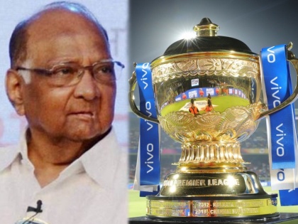 IPL 2021 : BCCI assured government support to host IPL in Mumbai, BCCI officials meet Sharad Pawar   | IPL 2021 Venue : आयपीएलचे सामने मुंबईत होणार; IPL चेअरमन अन् BCCI सदस्यांनी घेतली शरद पवारांची भेट अन्... 