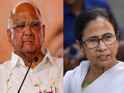 West Bengal Assembly Elections 2021 : Sharad Pawar in support of Mamata Banerjee, said, a woman ... | ममता दिदींच्या समर्थनासाठी शरद पवार मैदानात, म्हणाले, एका महिलेला...