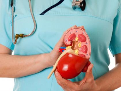 World Kidney Day : Unhealthy lifestyle can also cause kidney disease; Experts say symptoms and preventions | World Kidney Day: चुकीच्या जीवनशैलीमुळे तुम्हालाही उद्भवू शकतो किडनीचा आजार; तज्ज्ञांनी सांगितली लक्षणं आणि बचावाचे उपाय