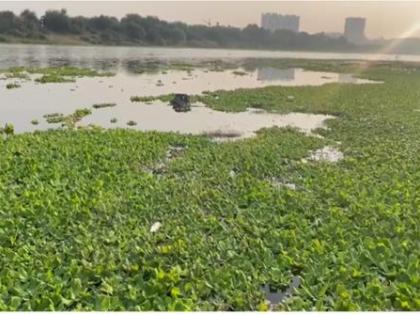 Allegations of zero agitation for implementation of Ulhas river pollution prevention | उल्हास नदी प्रदूषण रोखण्यासाठीची अंमलबजावणी शून्य आंदोलन करणा-यांचा आरोप