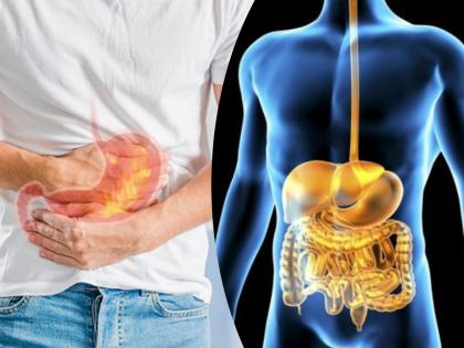 Ways to avoid gas or indigestion : Symptoms and ways to avoid gerd acid reflux heartburn gas or indigestion | Ways to avoid gas or indigestion : उन्हाळ्याच्या दिवसात अपचनामुळे तुम्हालाही आंबट ढेकर येताहेत का?; जाणून घ्या डॉक्टरांनी सांगितलेले सोपे उपाय