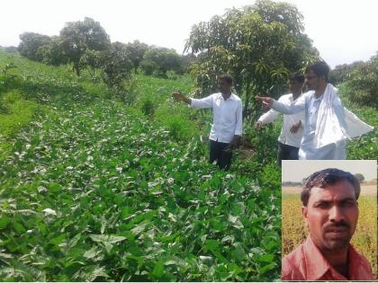 'Overcame the problem and did organic farming'; Krishi Bhushan Award announced to Babasaheb Raner | 'अडचणीवर मात केली आणि सेंद्रिय शेतीच केली'; बाबासाहेब रणेर यांना कृषीभूषण पुरस्कार जाहीर