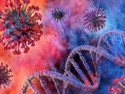 Coronavirus: A triple mutant of the coronavirus in Britain during the second wave? New patient growth of 10.5 per cent | Coronavirus: दुसऱ्या लाटेदरम्यान ब्रिटनमध्ये कोरोना विषाणूचा ट्रिपल म्युटेंट? नव्या रुग्णसंख्येत १०.५ टक्क्यांनी वाढ