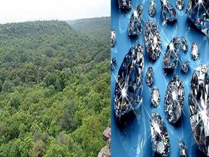 2 lakh trees sacrificed to extract diamonds from mines? Environmentalists will make intense agitation | खाणींतून हिरे काढण्यासाठी २ लाख झाडांचा बळी? पर्यावरणवादी करणार तीव्र आंदोलन