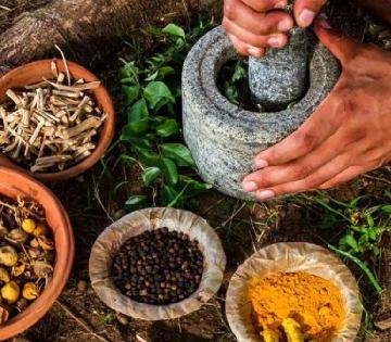हर्बल, नॅचरल औषधं खरंच सुरक्षित असतात? साईड इफेक्ट टाळण्यासाठी जाणून 'या' ३ गोष्टी