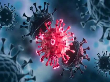 Coronavirus: Chinese researchers find 24 types of corona virus, some similar to covid-19 | Coronavirus: चिनी संशोधकांनी शोधले २४ प्रकारचे कोरोना विषाणू, काही तर...