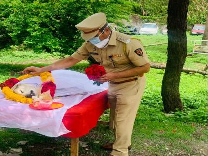 Arya, a dog trained to find explosives, dies; Handlers shed tears at the funeral in government Itama | स्फोटक शोधण्यात तरबेज श्वान आर्याचे निधन; शासकीय इतमामात अंत्यसंस्कारावेळी हॅण्डलर्सला अश्रू अनावर