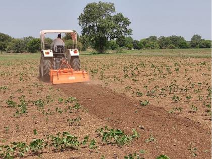 Shocking! Rotavitar rotated on 25 acres of soybean crop due to lack of rain | पावसाअभावी पिके सुकली; अस्वस्थ शेतकऱ्याने २५ एकर सोयाबीन पिकावर फिरवले रोटाव्हिटर Shocking! Rotavitar rotated on 25 acres of soybean crop due to lack of rain | पावसाअभावी पिके सुकली; अस्वस्थ शेतकऱ्याने २५ एकर सोयाबीन पिकावर फिरवले रोटाव्हिटर