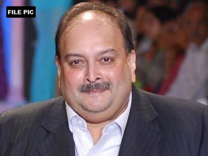 Mehul Choksi: the Indian intelligence agencies tried to kidnap me, Mehul Chokshi's big secret blast |  Mehul Choksi: "भारतीय तपास यंत्रणांनी माझ्या अपहरणाचा प्रयत्न केला", मेहूल चोक्शीचा मोठा गौप्यस्फोट