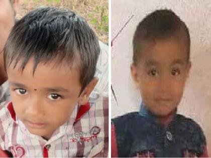 Unfortunately! Two brothers drown in farm | दुर्दैवी ! शेततळ्यात बुडून दोन भावडांचा मृत्यू 