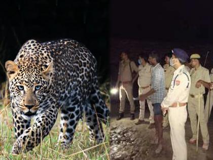 leopard took away child from house in bahraich uttar pradesh | भयंकर! घरात घुसून वडिलांसोबत बसलेल्या चिमुकलीवर बिबट्याची झडप, मन सुन्न करणारी घटना