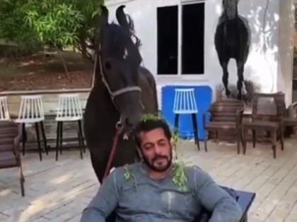 Salman Khan Missing Someone Special, Video Caught Attention Of Everyone | सलमाने पुन्हा वेधले लक्ष, कोणाच्या तरी आठवणीत झालाय दंग, कोण आहे 'ती'?