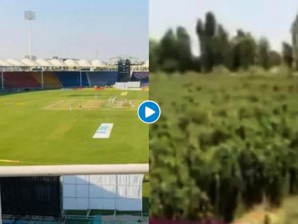 Video; Khanewal cricket stadium in Pakistan turned into a vegetable farm, Pakistan to host England and New Zealand | Video : इंग्लंड, न्यूझीलंडला खेळायला बोलवलंय, पण पाकिस्तानातील क्रिकेट स्टेडियमवर सुरू आहे फळभाज्यांची शेती