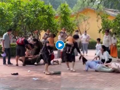 Video women in beijing zoo suddenly started fighting like animals shocks other tourists | Video - तुफान राडा! 'त्या' एकमेकींच्या जीवावर उठल्या, प्राणीसंग्रहालयातच भिडल्या; जोरदार हाणामारी