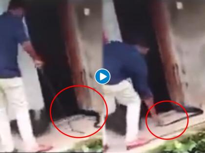 Never Judge a snake by it's tail? watch scary video | शेपटीवरून सापाच्या ताकदीचा अंदाज बांधू नका, नाहीतर....!; थरकाप उडवणारा Video