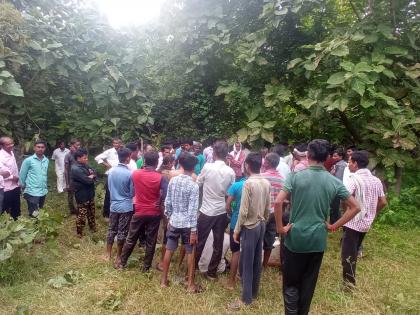 He had to lose his life because of his love for cattle; Young man killed in tiger attack | गुरांवरील प्रेमापोटी गमवावा लागला जीव; तरूणाचा वाघाच्या हल्ल्यात मृत्यू