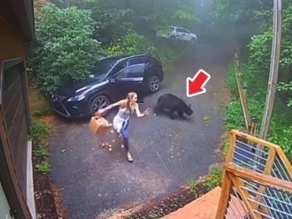 bear comes out of car while lady opening the car door video goes viral | महिलेनं कारचा दरवाजा उघडताच बाहेर आलं अस्वल, त्यानंतर झाली 'अशी' अवस्था; व्हिडिओ व्हायरल