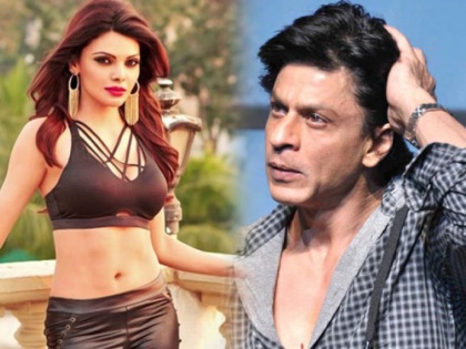 Aryan Khan Drugs Case: Now Sherlyn Chopra has made a big revelation about Shah Rukh Khan, saying, "The wives of Bollywood stars were taking white powder at his party." | Aryan Khan Drugs Case: आता Sherlyn Chopraने Shah Rukh Khanबाबत केला मोठा गौप्यस्फोट, म्हणाली, "त्याच्या पार्टीत बॉलिवूड स्टार्सच्या पत्नी घेत होत्या व्हाईट पावडर’’