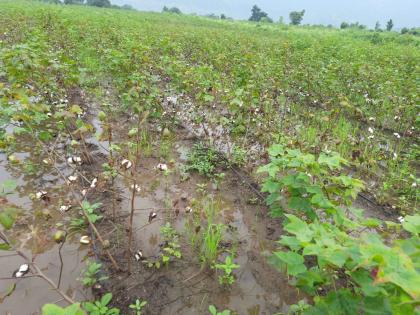 Soygaon was hit by hail as soon as it seemed to escape the heavy rains | अतिवृष्टीतून सुटलो वाटताच सोयगावला गारपीटीने झोडपले